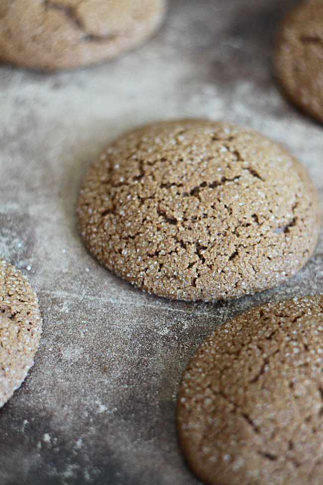 Baking Molasses Cookies