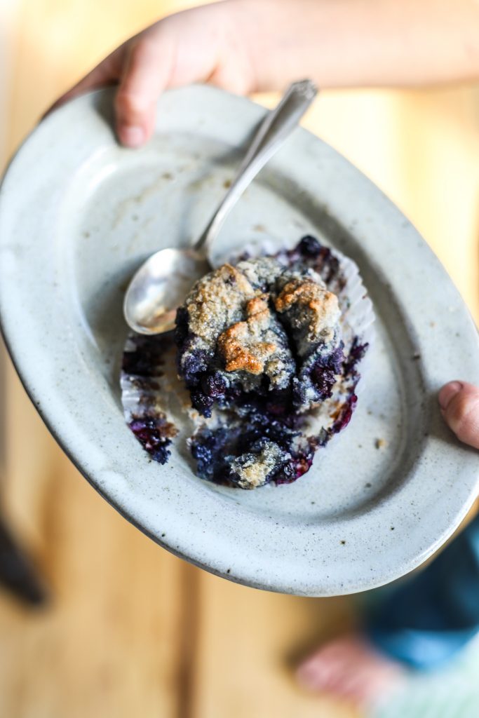 Vegan Wild Blueberry Muffins